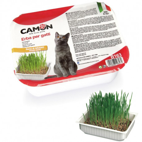 Camon tráva pre mačky zo pšenice 130g Camon - 1